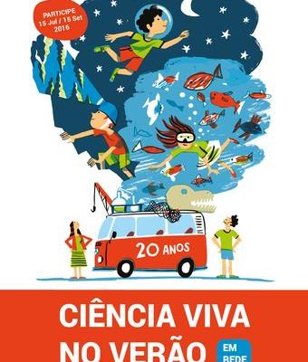 O estado de coma e o testamento vital em debate