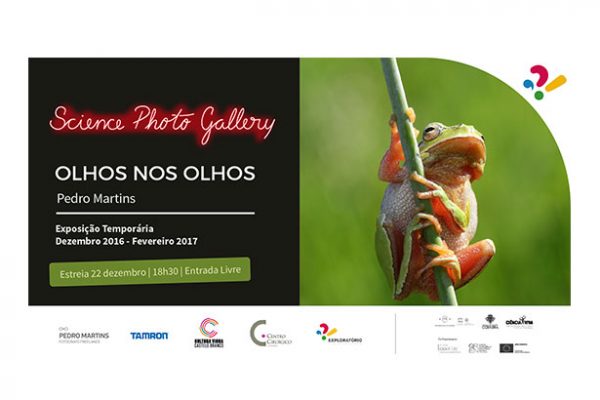 Olhos nos olhos – Exposição