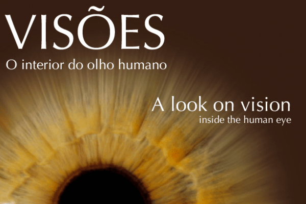 Já conhece as nossas “Visões”?