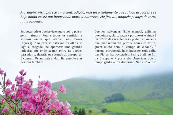 COM UM PÉ NA AMÉRICA E OUTRO NA EUROPA