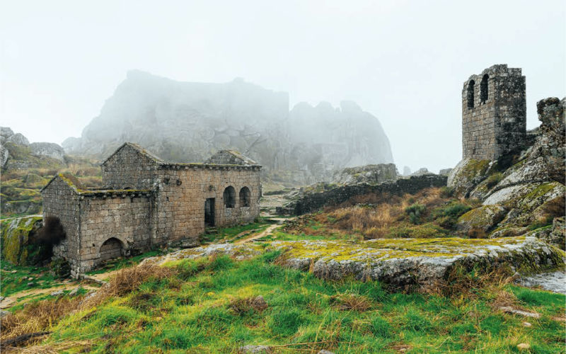 monstanto-05 monstanto-05